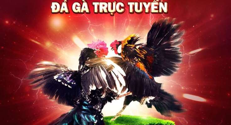 Tận hưởng quyền truy cập miễn phí vào các trò chơi máy đánh bạc hạng 78Win dành cho mọi lứa tuổi! - 78Win
